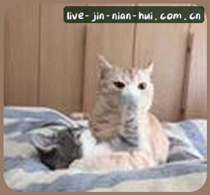 周杰